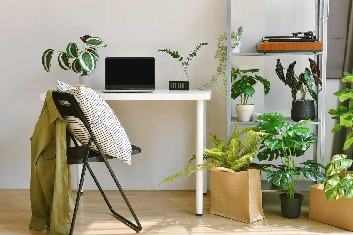 Low-Maintenance Indoor Plants That Make the Perfect Home Companions